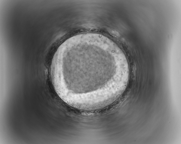 X0000095691302200802051304