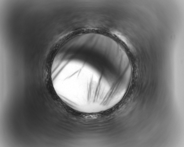 X0000095691303200802051304