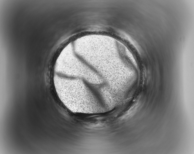 X0000095691304200802051304