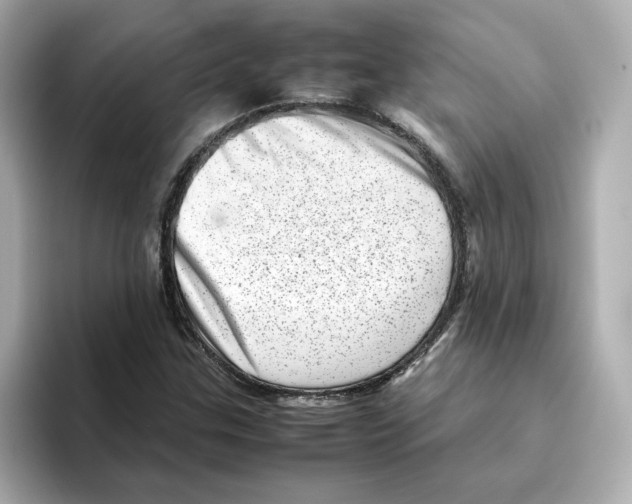 X0000095691307200802051304