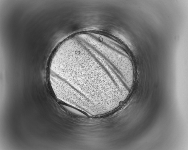 X0000095691308200802051304