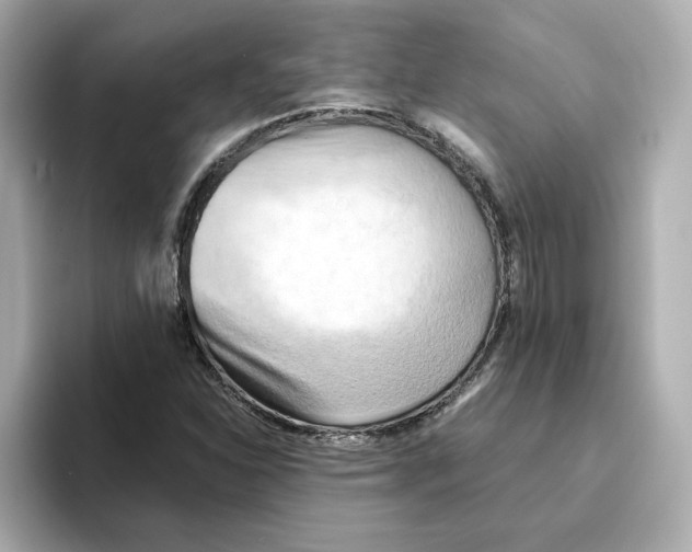 X0000095691310200802051304