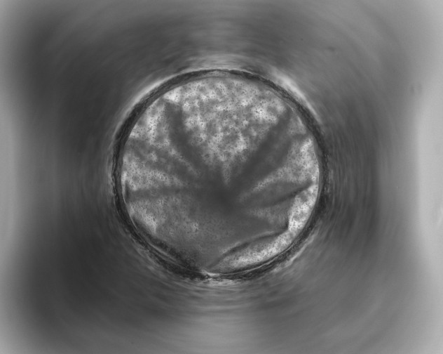 X0000095691312200802051304