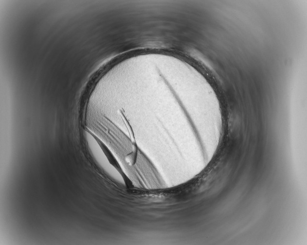 X0000095691315200802051304