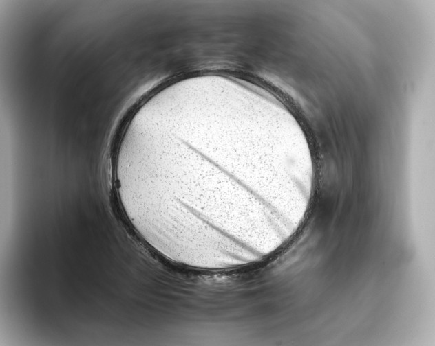 X0000095691317200802051304