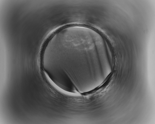 X0000095691319200802051304