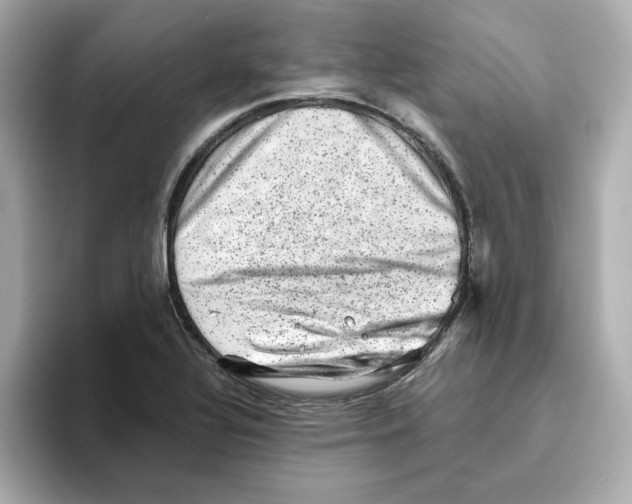 X0000095691320200802051304