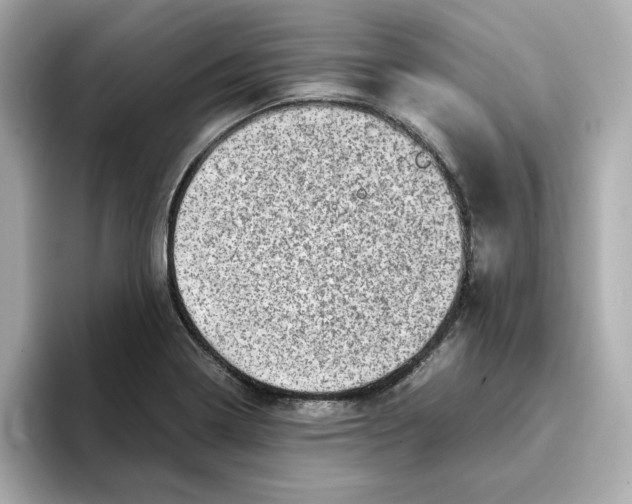 X0000095691322200802051304