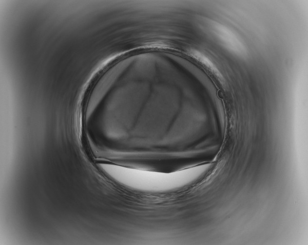 X0000095691323200802051304