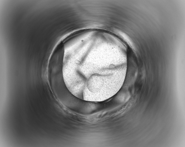 X0000095691324200802051304