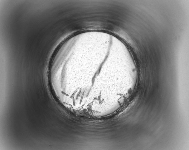 X0000095691325200802051304