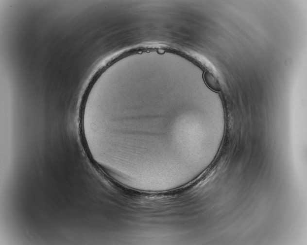 X0000095691327200802051304