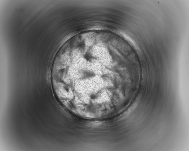 X0000095691329200802051304