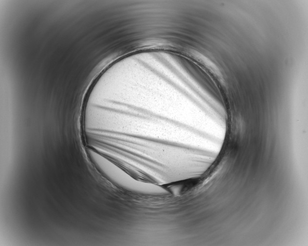 X0000095691330200802051304