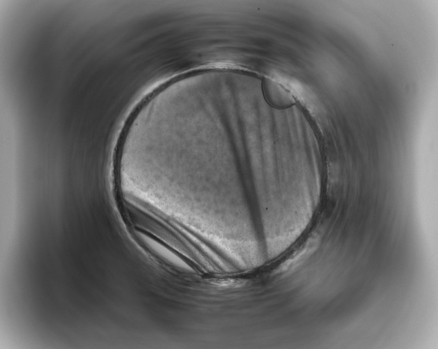 X0000095691331200802051304