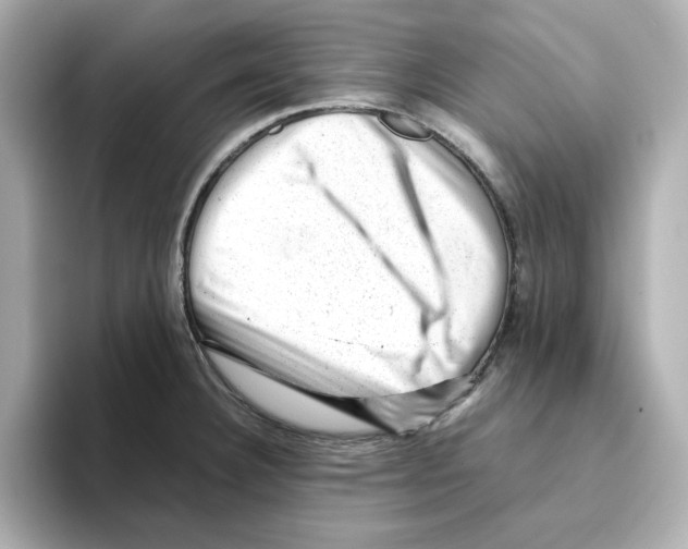 X0000095691332200802051304