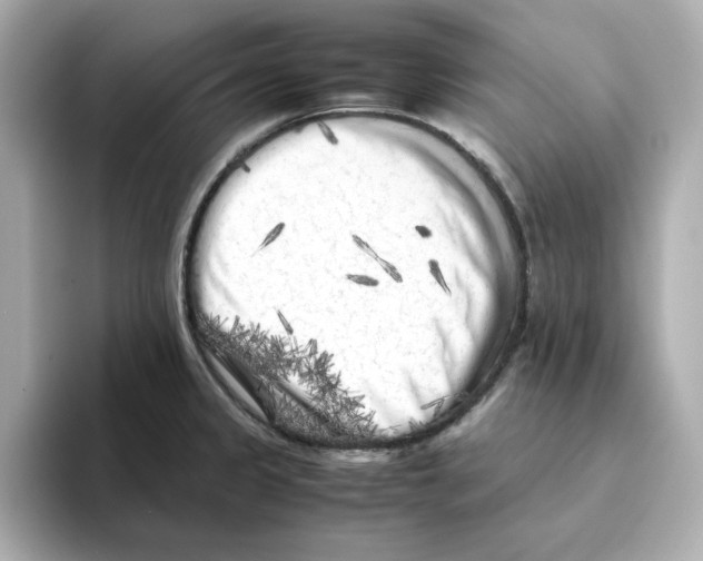 X0000095691333200802051304