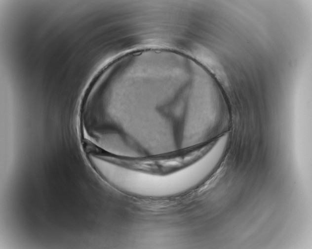 X0000095691334200802051304