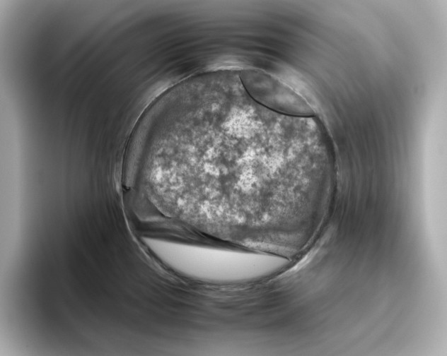 X0000095691337200802051304