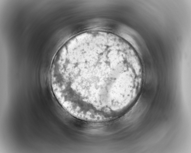 X0000095691338200802051304