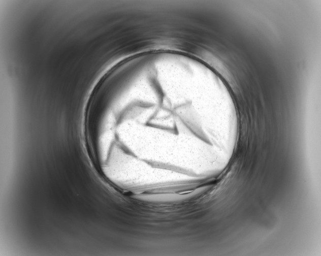 X0000095691339200802051305