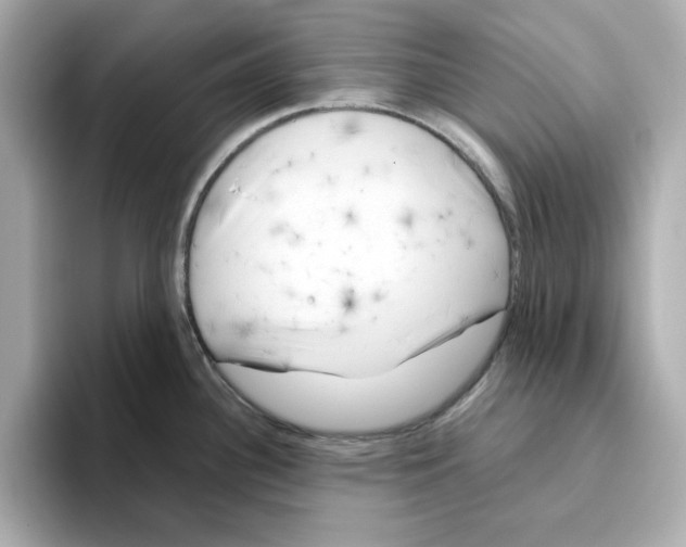 X0000095691340200802051305