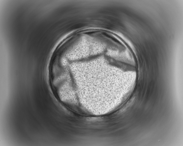 X0000095691341200802051305