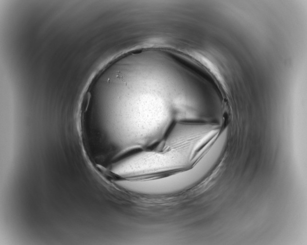 X0000095691342200802051305