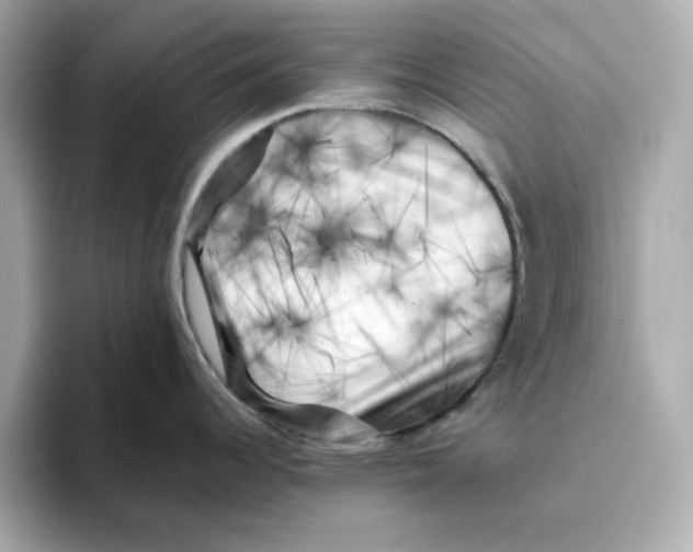 X0000095691344200802051305