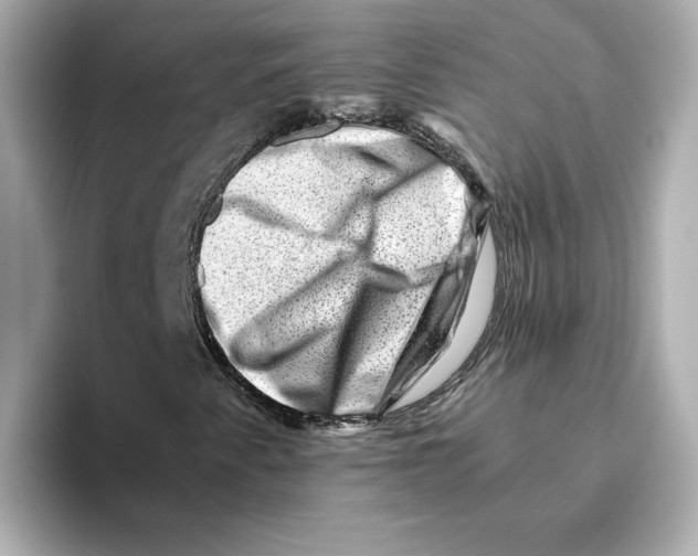 X0000095691345200802051304