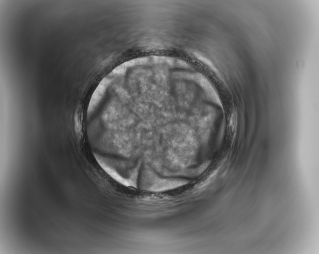 X0000095691348200802051304