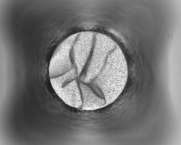 X0000095691349200802051304