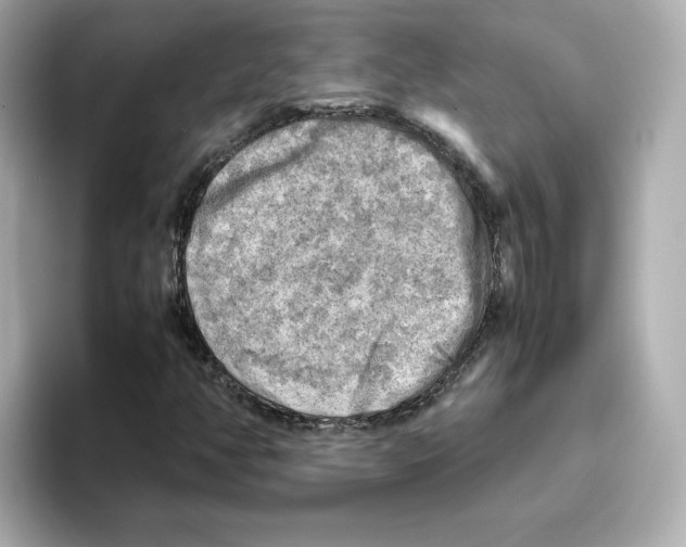 X0000095691350200802051304