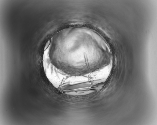 X0000095691351200802051304