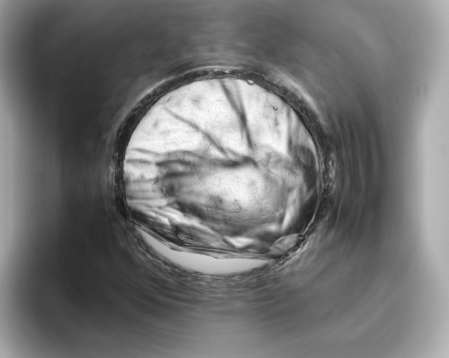 X0000095691352200802051304