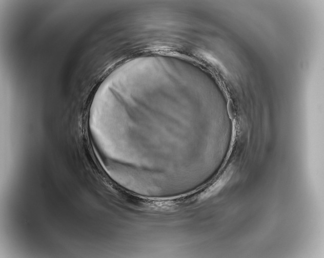 X0000095691353200802051304