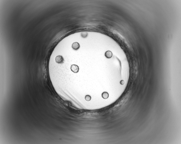 X0000095691354200802051304