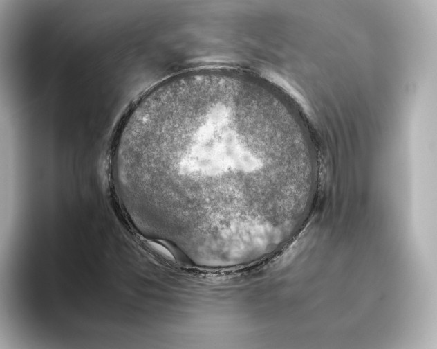 X0000095691357200802051304