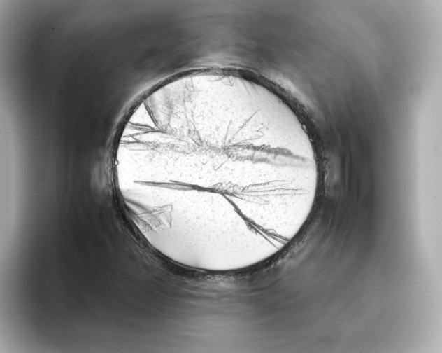 X0000095691358200802051304