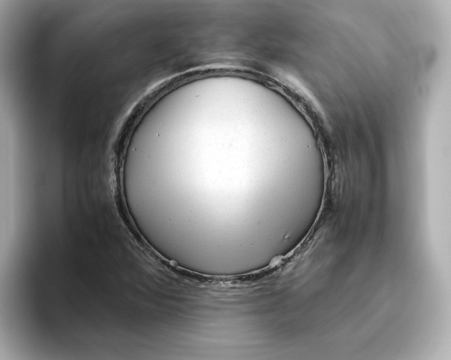 X0000095691360200802051304