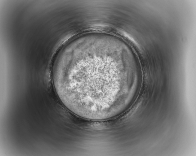 X0000095691362200802051304