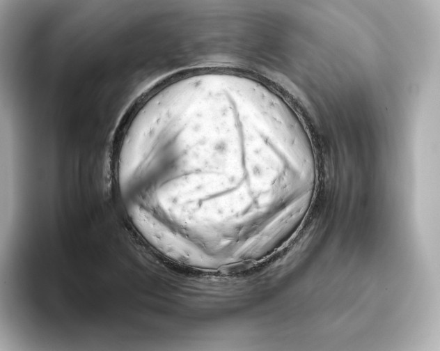 X0000095691364200802051304