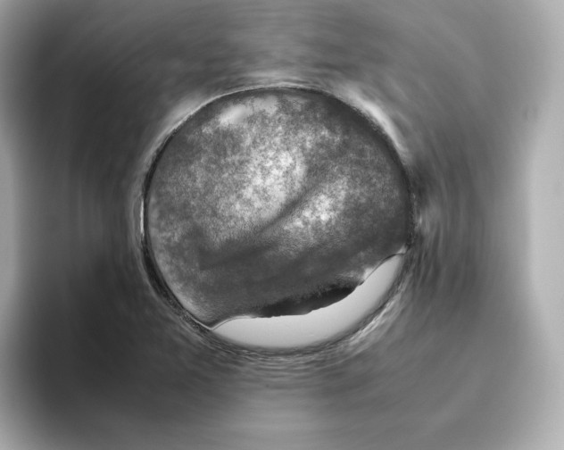 X0000095691365200802051304