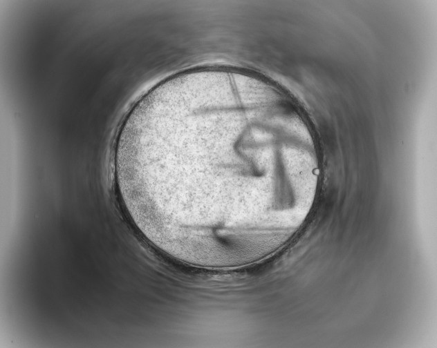 X0000095691367200802051304