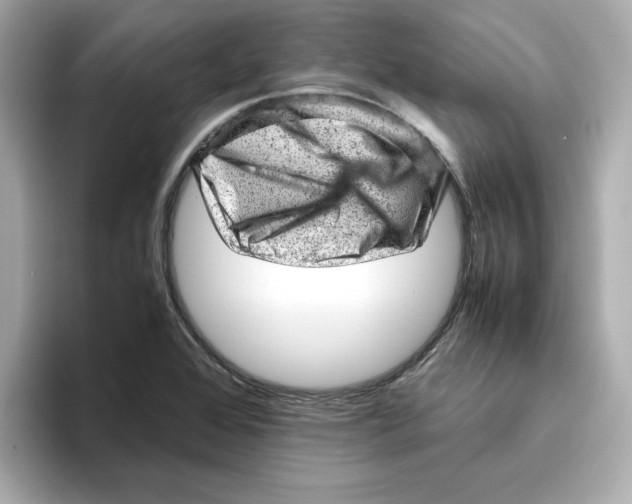 X0000095691368200802051304