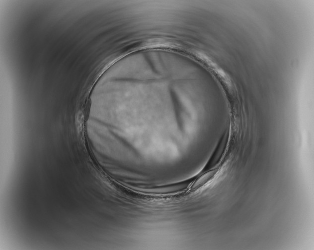 X0000095691369200802051304