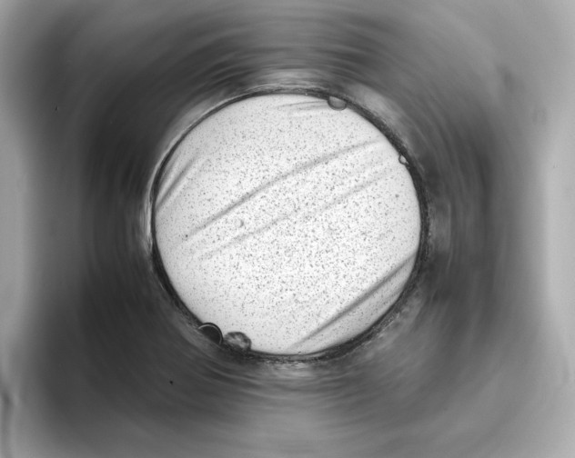 X0000095691370200802051304