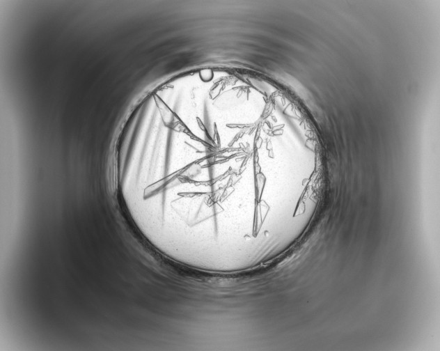 X0000095691371200802051304