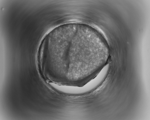 X0000095691373200802051304