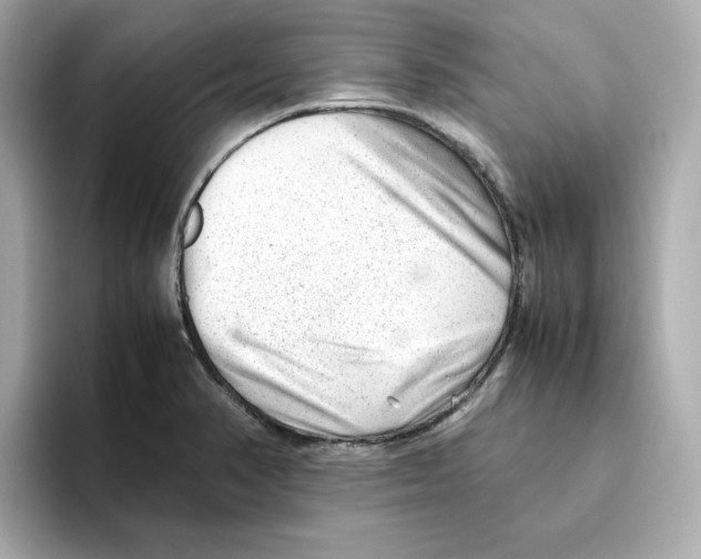 X0000095691374200802051304